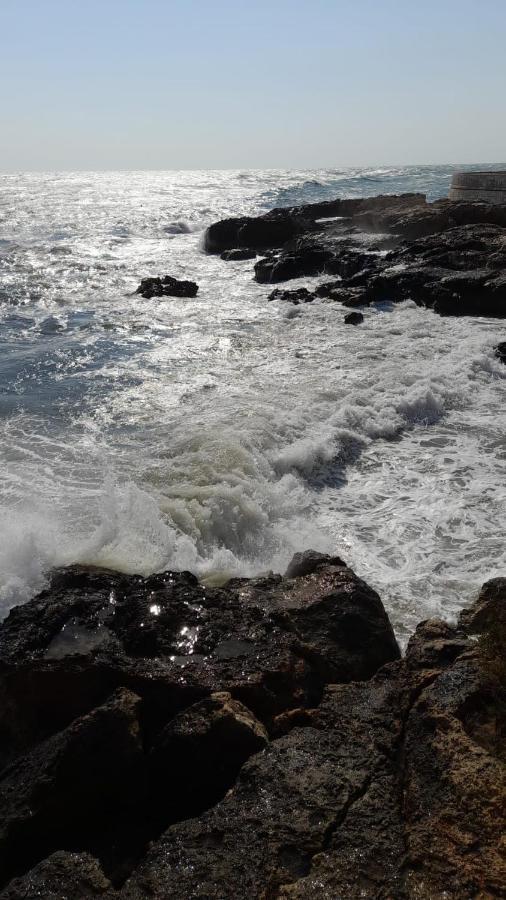 La Preferita Appartamento Vista Lato Mare モノーポリ エクステリア 写真